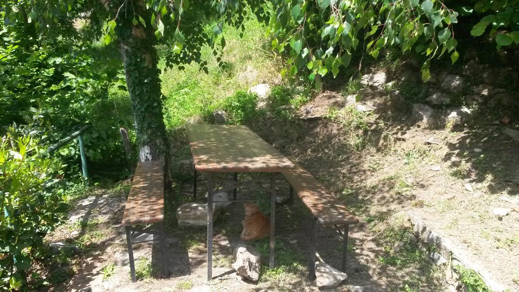 Altrove Apartment Ne Bagian luar foto